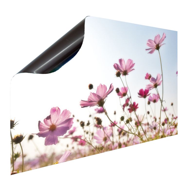 Bedruckte Magnetpinnwand Eisenfolie Whiteboard Magnetwand Motiv Blumen