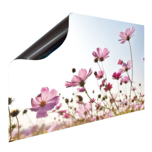 Bedruckte Magnetpinnwand Eisenfolie Whiteboard Magnetwand Motiv Blumen