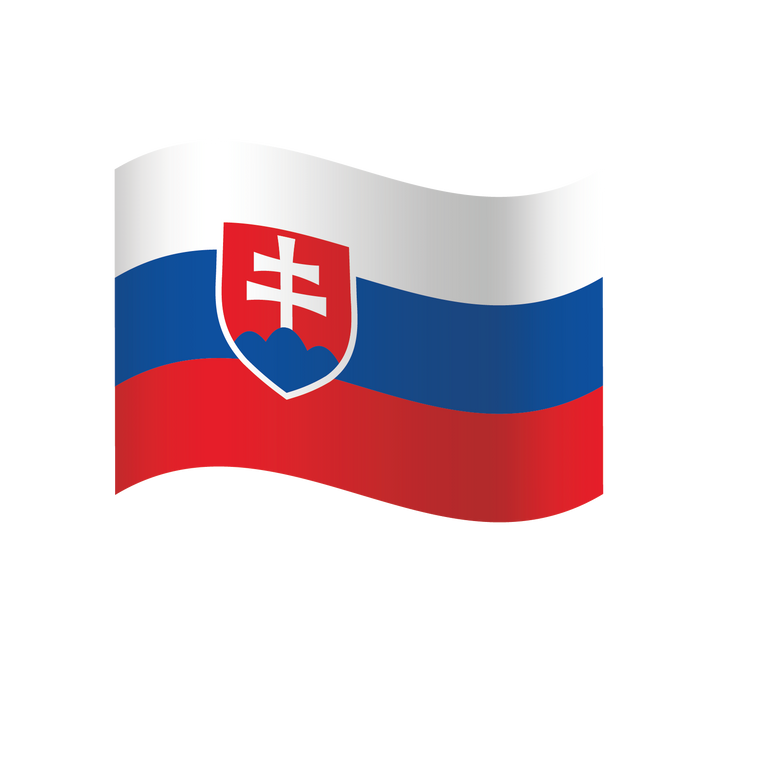 Fanartikel Magnet Flagge Fahne für Auto Deko Alle Länder verschiedene Größen