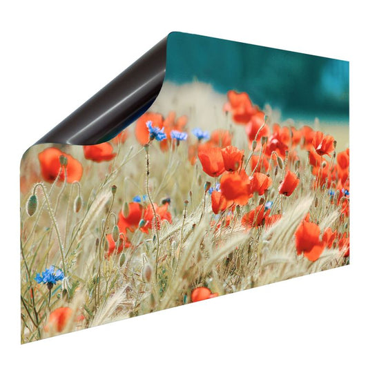 Bedruckte Magnetpinnwand Eisenfolie Whiteboard Magnetwand Motiv Mohnblumen