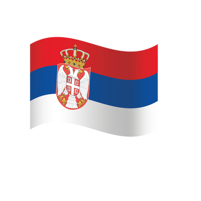 EM Fanartikel Magnet Flagge Fahne für Auto Deko Alle Länder verschiedene Größen