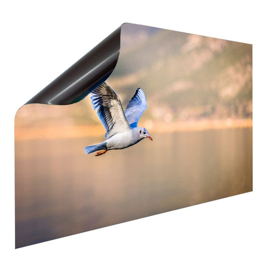 Bedruckte Magnetpinnwand Eisenfolie Whiteboard Magnetwand Motiv Vogel