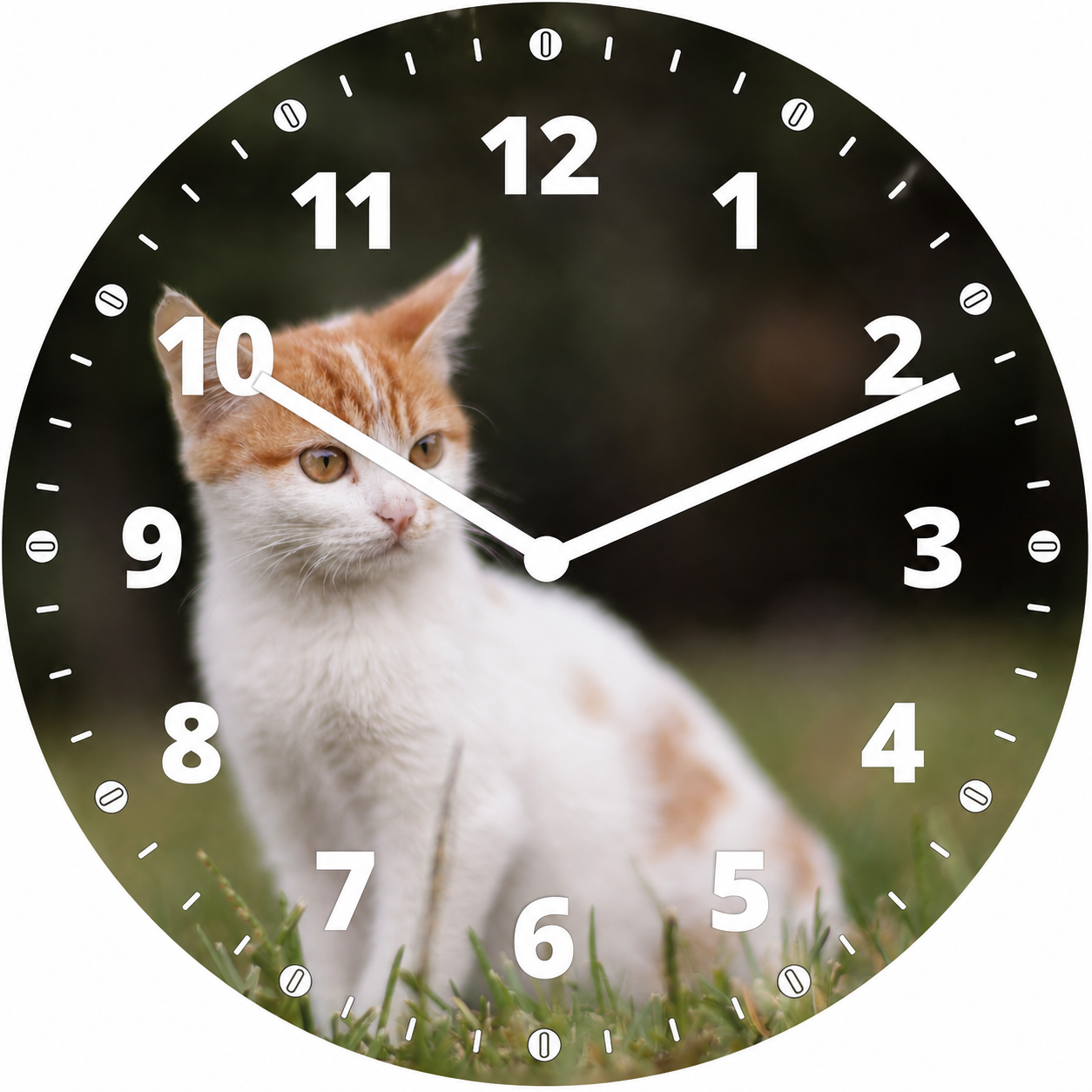 Hochwertige 30cm-Uhren Made in Alzenau Lautlose Uhr MDF Acryl Katze im Grünen