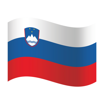 EM Fanartikel Magnet Flagge Fahne für Auto Deko Alle Länder verschiedene Größen