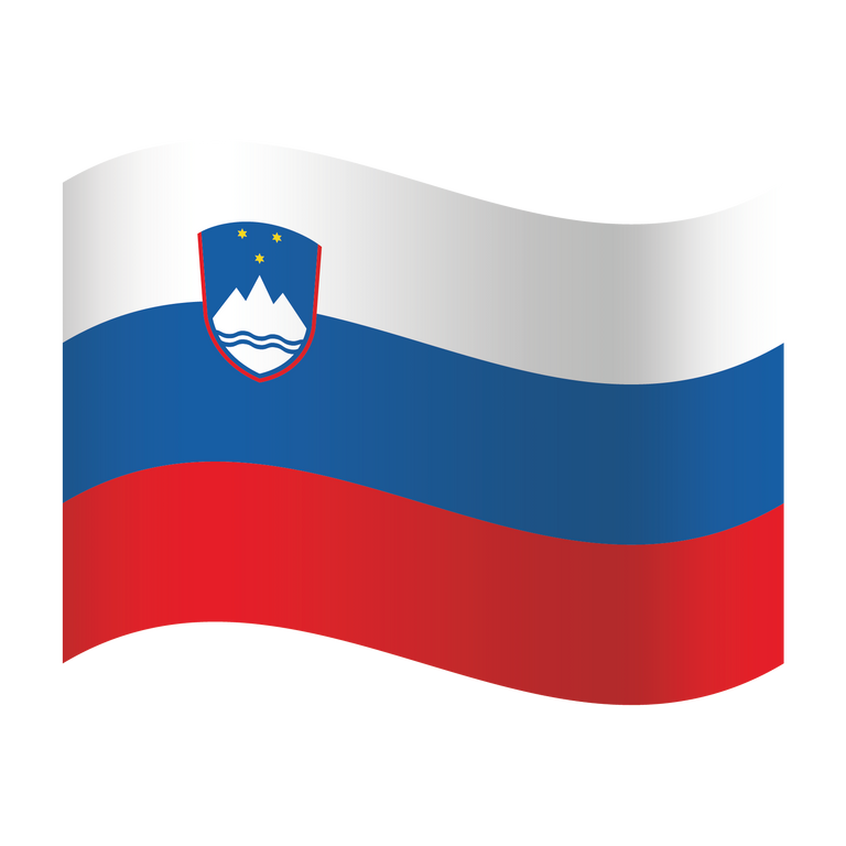 Fanartikel Magnet Flagge Fahne für Auto Deko Alle Länder verschiedene Größen