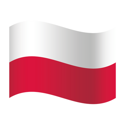 EM Fanartikel Magnet Flagge Fahne für Auto Deko Alle Länder verschiedene Größen