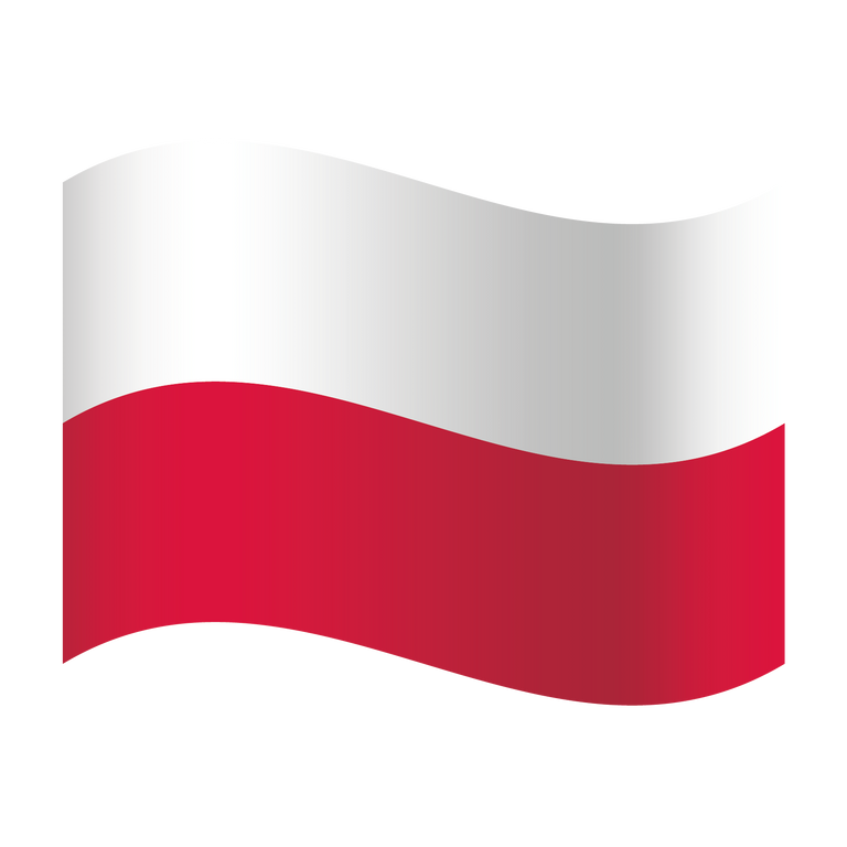 Fanartikel Magnet Flagge Fahne für Auto Deko Alle Länder verschiedene Größen