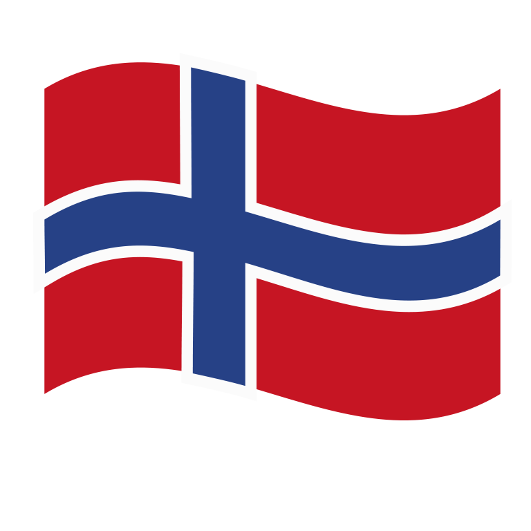 Fanartikel Magnet Flagge Fahne für Auto Deko Alle Länder verschiedene Größen