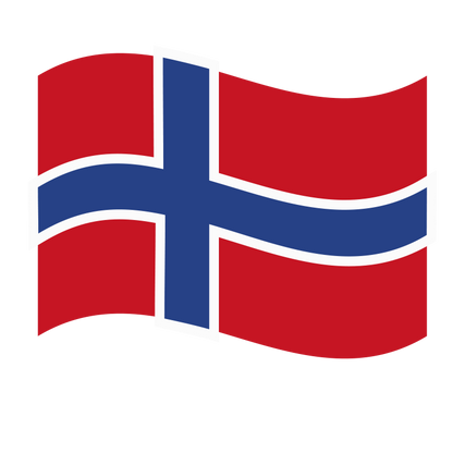 Fanartikel Magnet Flagge Fahne für Auto Deko Alle Länder verschiedene Größen