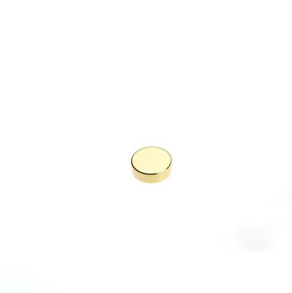 Scheibenmagnet Ø 5,0 x 2,0 mm N40 Gold - hält 650 g