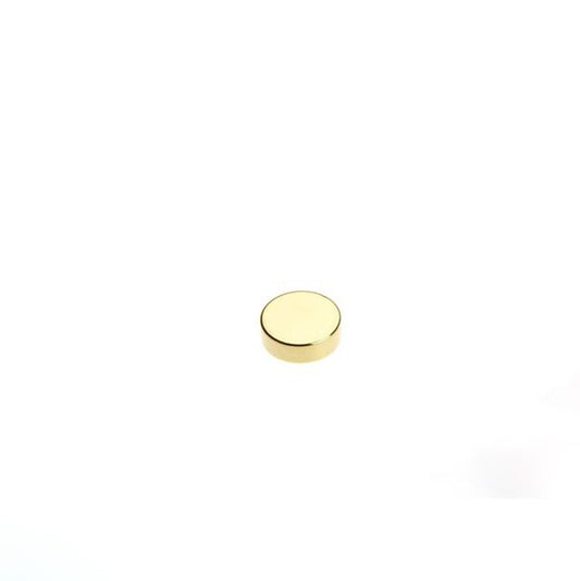 Scheibenmagnet Ø 5,0 x 2,0 mm N40 Gold - hält 650 g