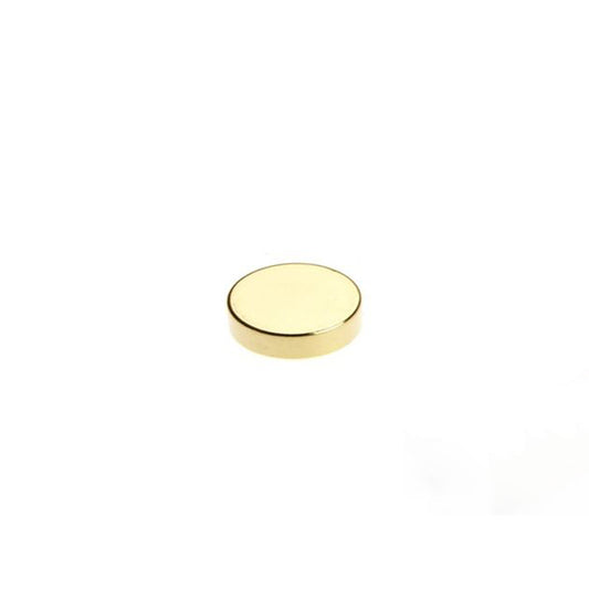 Scheibenmagnet Ø 10,0 x 2,0 mm N40 Gold - hält 1,1 kg