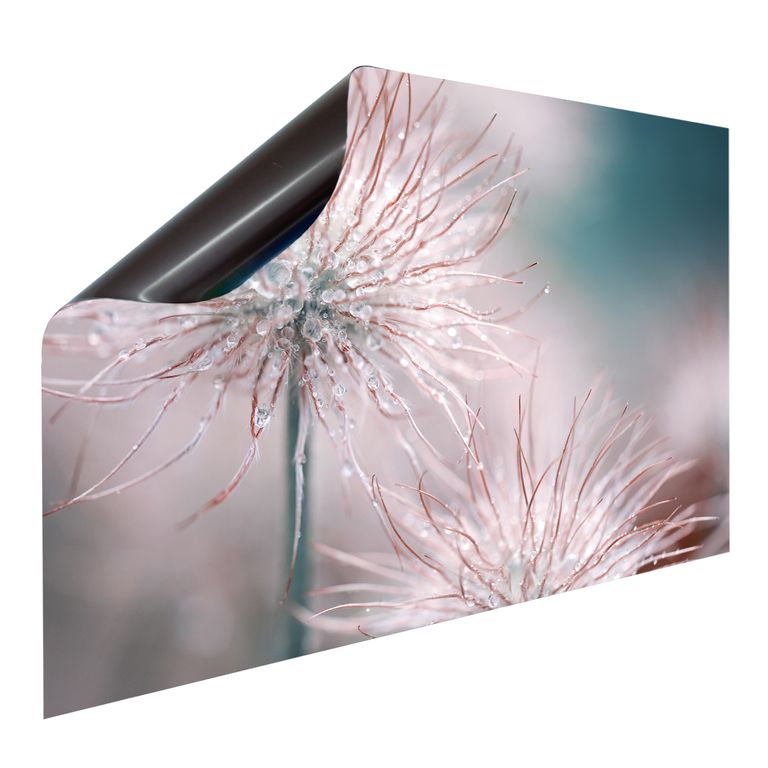 Bedruckte Magnetpinnwand Eisenfolie Whiteboard Magnetwand Motiv Flower