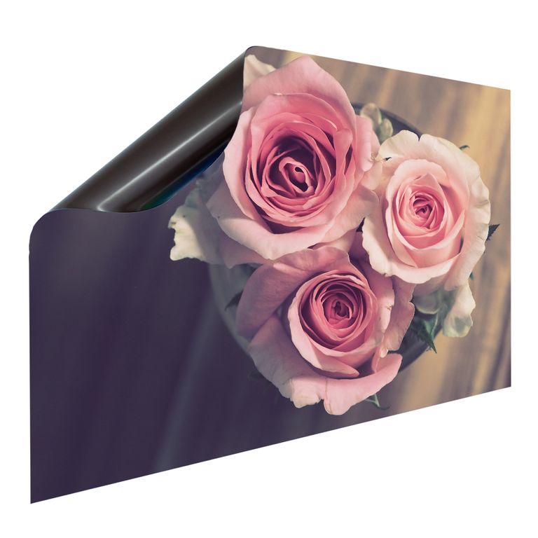 Bedruckte Magnetpinnwand Eisenfolie Whiteboard Magnetwand Motiv Rose