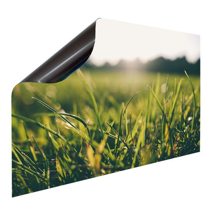 Bedruckte Magnetpinnwand Eisenfolie Whiteboard Magnetwand Motiv Grashalm