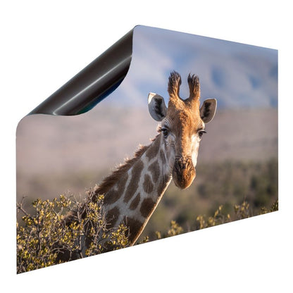 Bedruckte Magnetpinnwand Eisenfolie Whiteboard Magnetwand Motiv Giraffe