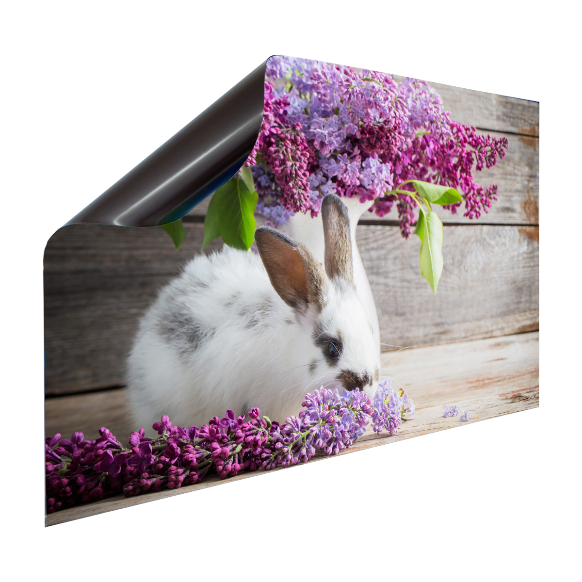 Magnet Heizkörperverkleidung Heizkörperabdeckung Heizung Schutz Motiv Hase Rosa Vase Blumen – Produktbild 2 von 4