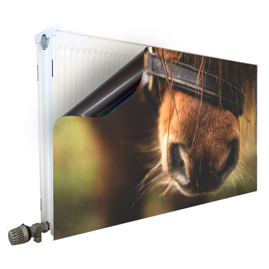 Magnet Heizkörperverkleidung Heizkörperabdeckung Heizung Schutz Motiv Horse