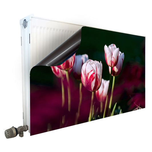 Magnet Heizkörperverkleidung Heizkörperabdeckung Heizkörper - Motiv Tulpen