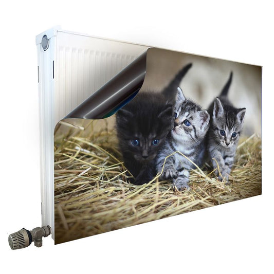 Magnet Heizkörperverkleidung Heizkörperabdeckung Heizung Motiv Babykatzen