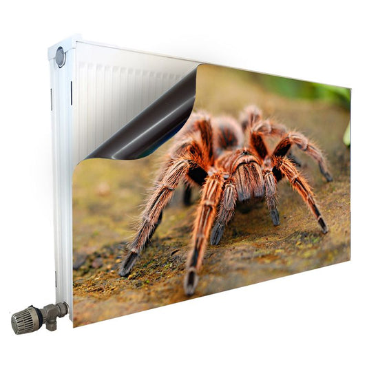 Magnet Heizkörperverkleidung Heizkörperabdeckung Heizung Schutz Motiv Spinne