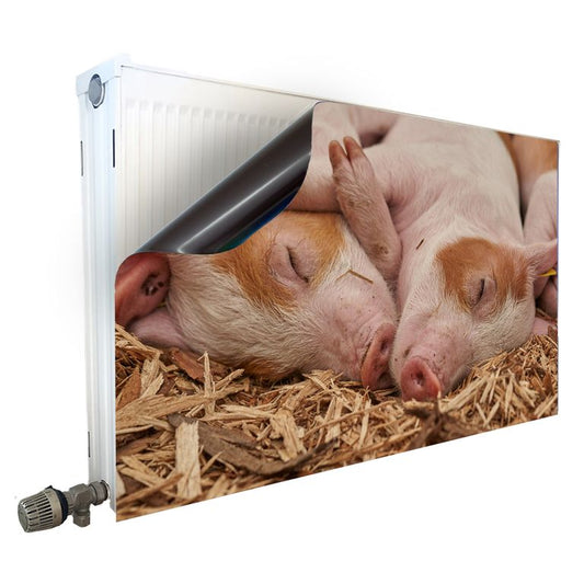 Magnet Heizkörperverkleidung Heizkörperabdeckung Heizung Motiv Schweineliebe