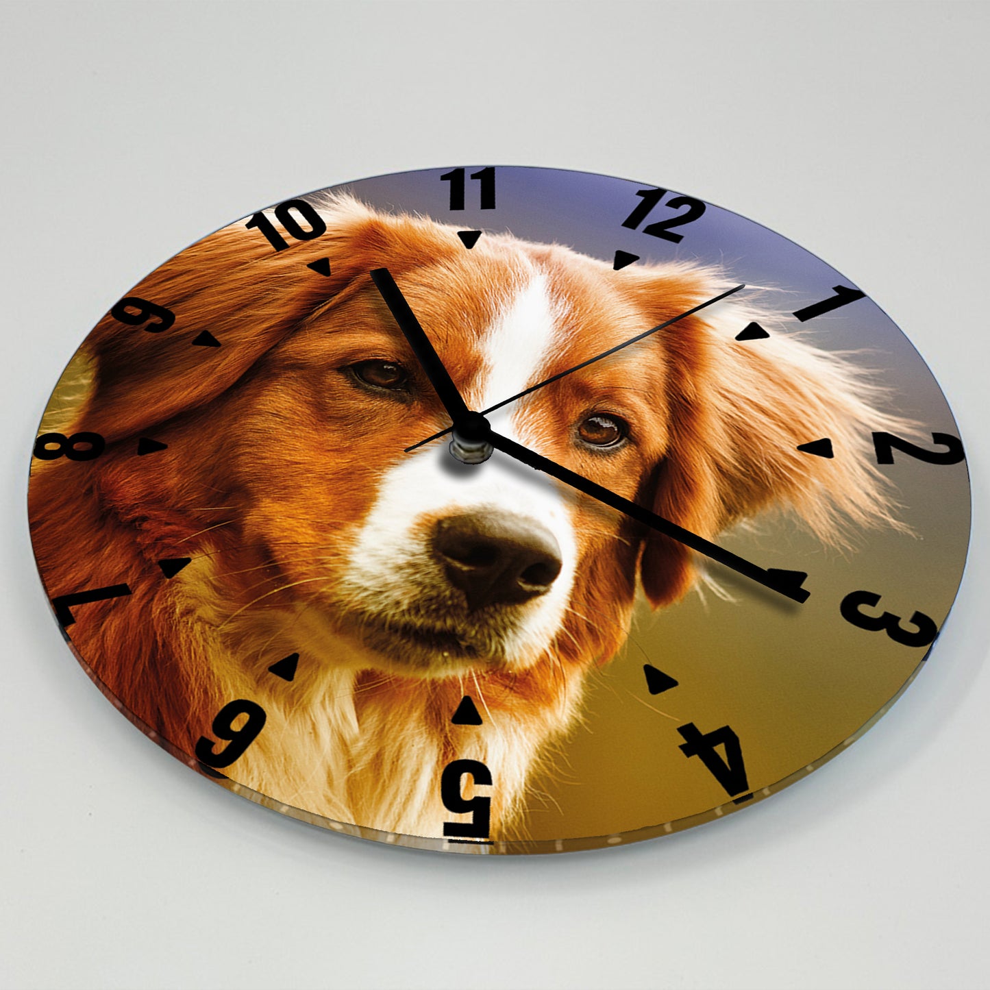 Hochwertige 30cm-Uhren Made in Alzenau Lautlose Uhr MDF Acryl: Motive Hunde