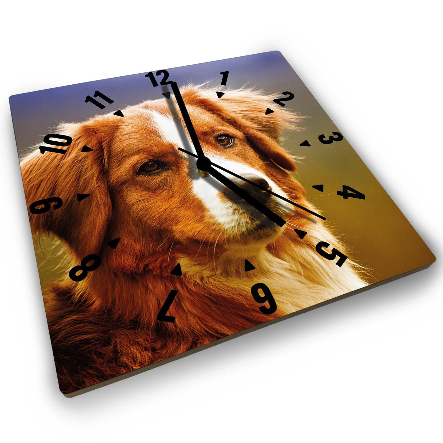 Hochwertige 30cm-Uhren Made in Alzenau Lautlose Uhr MDF Acryl: Motive Hunde