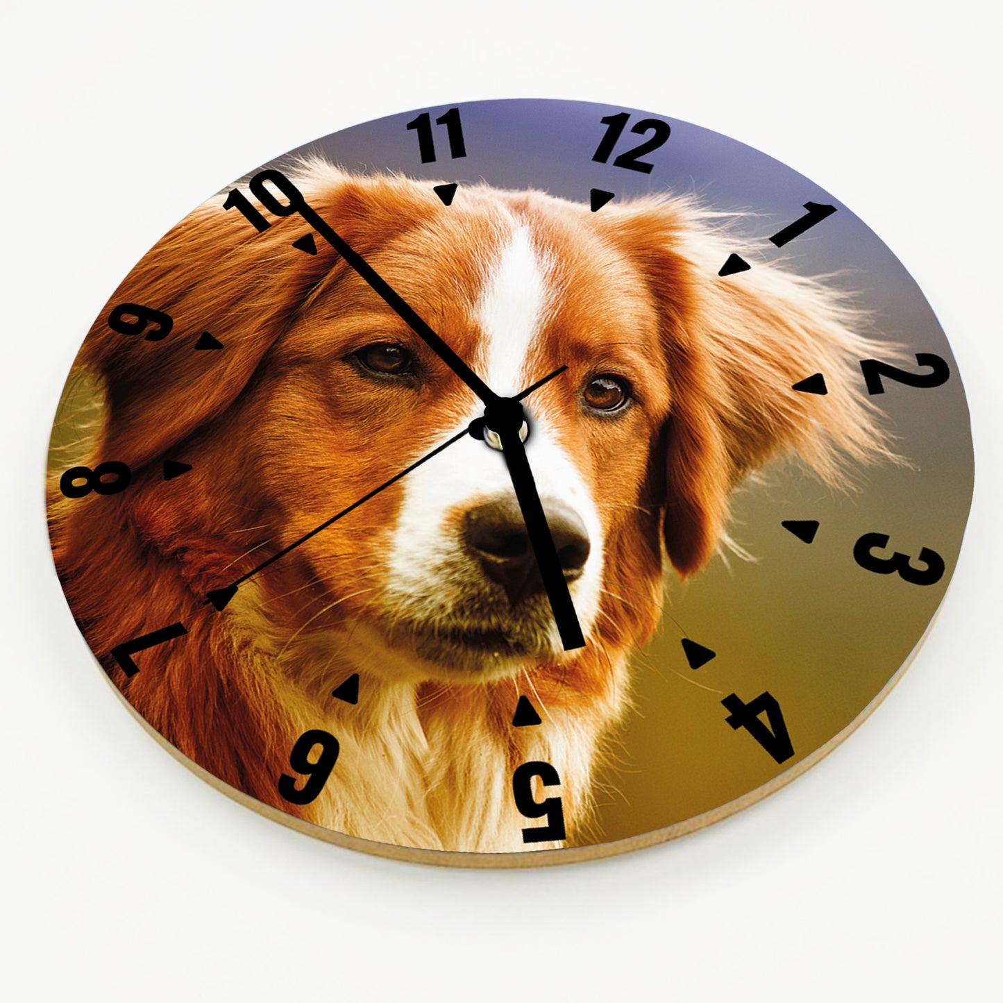 Hochwertige 30cm-Uhren Made in Alzenau Lautlose Uhr MDF Acryl: Motive Hunde