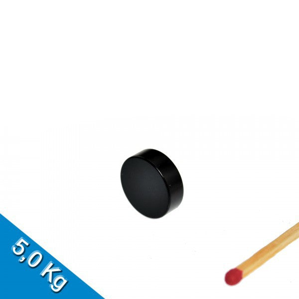 Neodym Scheibenmagnet Ø 15 x 5 mm N45 Epoxy