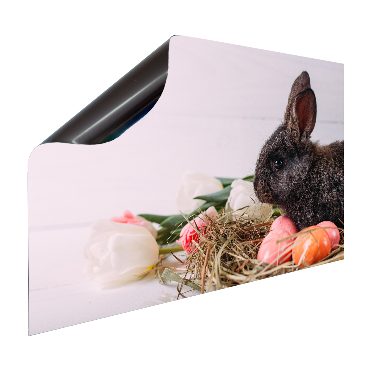Magnet Heizkörperverkleidung Heizkörperabdeckung Heizung Schutz Motiv Osterhase mit Ostereiern – Produktbild 2 von 4