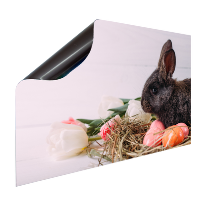 Magnet Heizkörperverkleidung Heizkörperabdeckung Heizung Schutz Motiv Osterhase mit Ostereiern – Produktbild 2 von 4