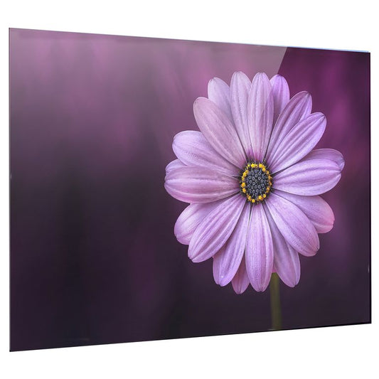Bedrucktes Acrylglas als Magnetwand, Küchen-Hintergrund, Motiv Lila