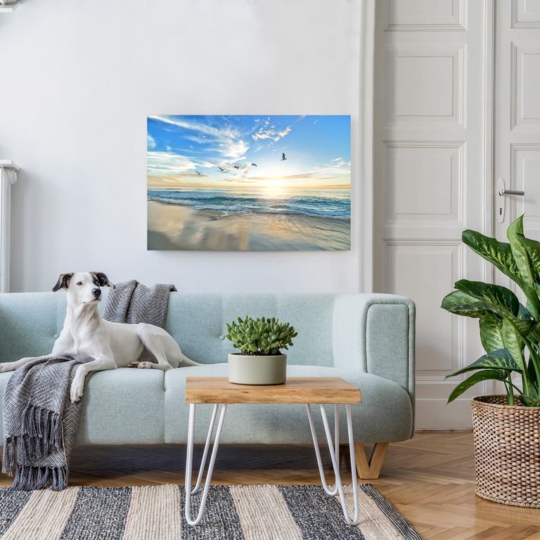 Bedrucktes Acrylglas als Magnetwand, Küchen-Hintergrund, Motiv Meer