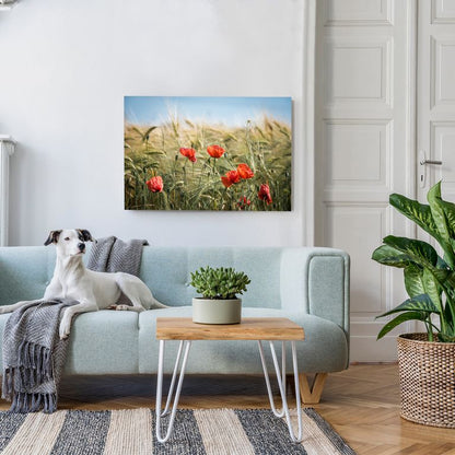 Bedrucktes Acrylglas als Magnetwand, Küchen-Hintergrund, Motiv Mohnblumen