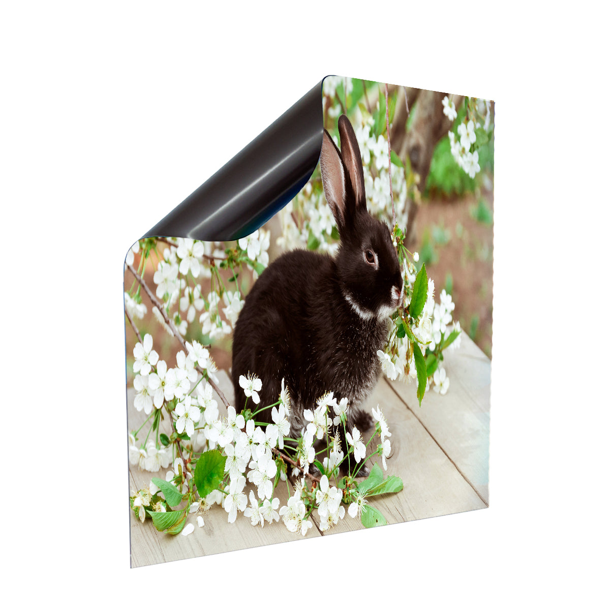 Stromkasten Deko-Folie (Hager) - Schwarzer Hase Blüten