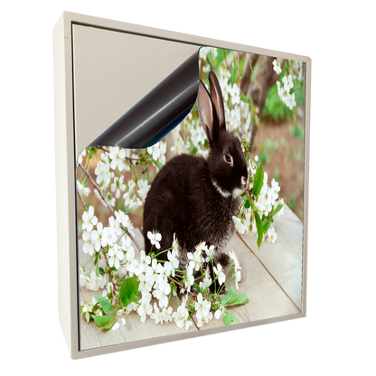 Stromkasten Deko-Folie (Hager) - Schwarzer Hase Blüten