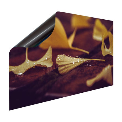 Magnet Heizkörperverkleidung Heizkörperabdeckung Heizkörper - Motiv Ginkgo
