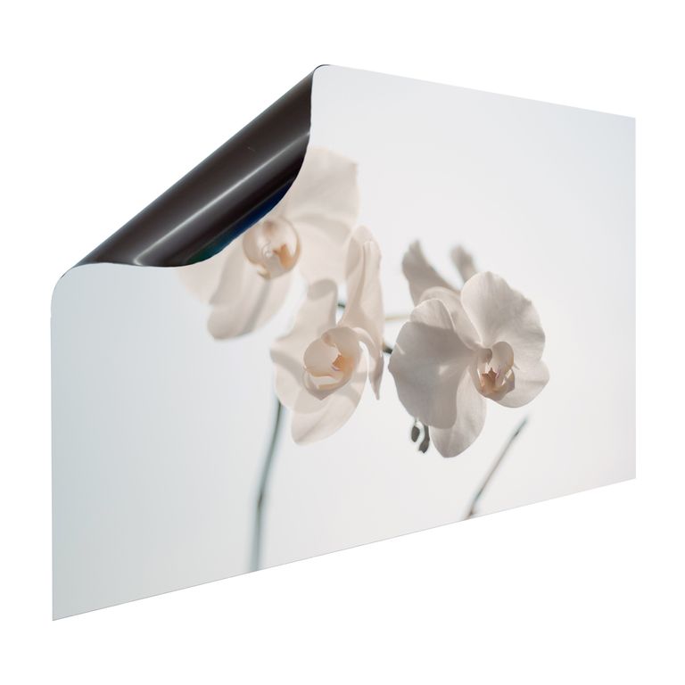 Magnet Heizkörperverkleidung Heizkörperabdeckung Heizkörper - Motiv Weiße Orchidee