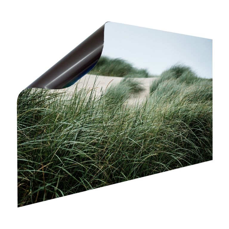 Magnet Heizkörperverkleidung Heizkörperabdeckung Heizung Motiv Dünengras