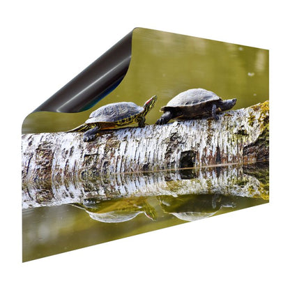 Magnet Heizkörperverkleidung Heizkörperabdeckung Heizung Motiv Schildkröten