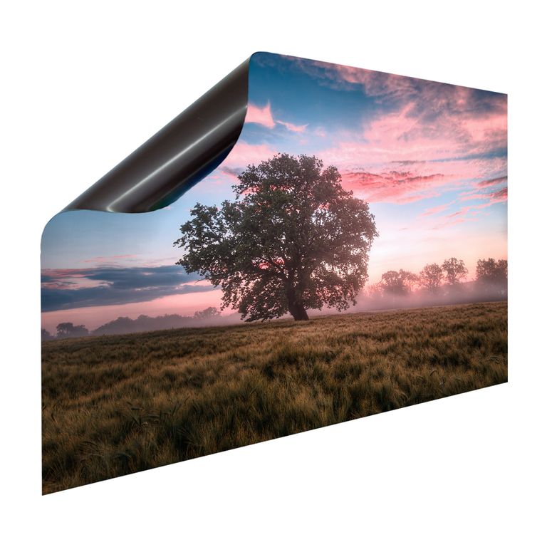 Magnet Heizkörperverkleidung Heizkörperabdeckung Heizkörper - Motiv Baum im Feld