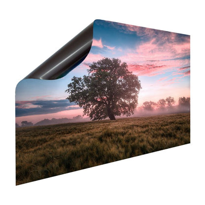 Magnet Heizkörperverkleidung Heizkörperabdeckung Heizkörper - Motiv Baum im Feld