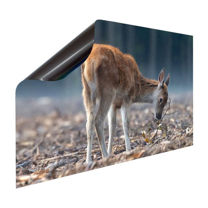 Magnet Heizkörperverkleidung Heizkörperabdeckung Heizung Motiv Rehkitz