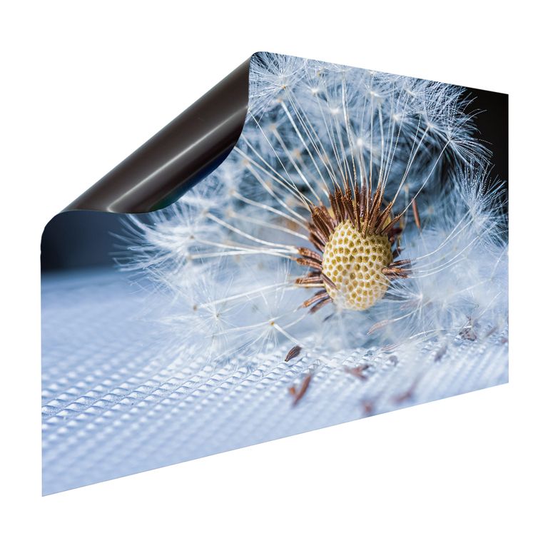 Magnet Heizkörperverkleidung Heizkörperabdeckung Heizkörper - Motiv Blossom