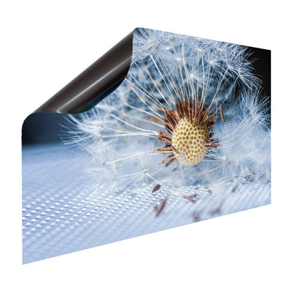 Magnet Heizkörperverkleidung Heizkörperabdeckung Heizkörper - Motiv Blossom