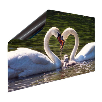 Magnet Heizkörperverkleidung Heizkörperabdeckung Heizung Motiv Schwan Familie