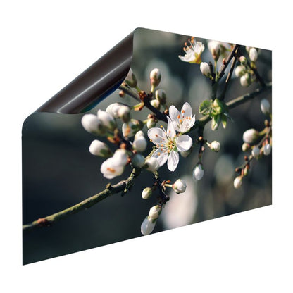 Magnet Heizkörperverkleidung Heizkörperabdeckung Heizung Motiv Schwarzdorn