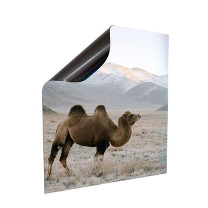 Stromkasten Magnet Bild Deko Stromverteiler Sicherungskasten Motiv Kamel