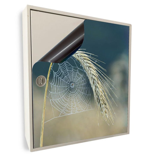 Stromkasten Magnet Bild Deko Stromverteiler Sicherungskasten Motiv Spinnennetz